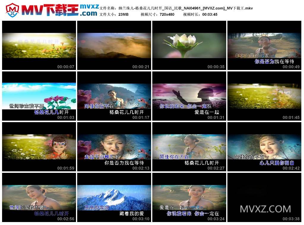 纳兰珠儿-格桑花儿几时开_国语_民歌_NAI04961